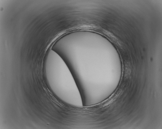 X0000083661170200702120832