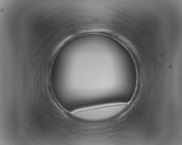 X0000083661177200702120832