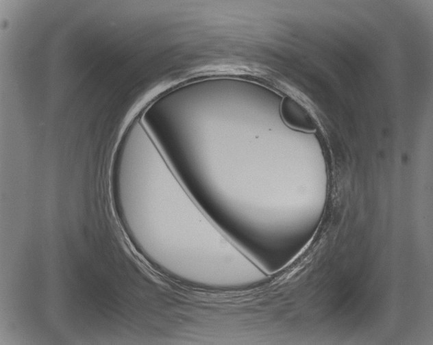 X0000083661179200702120832