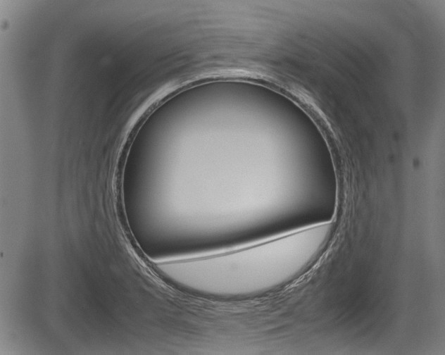 X0000083661181200702120832