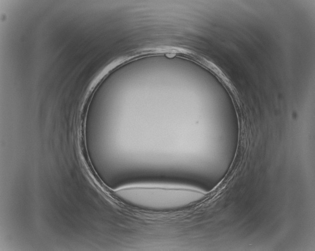 X0000083661187200702120832