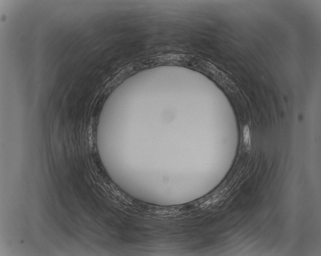 X0000083661203200702120831