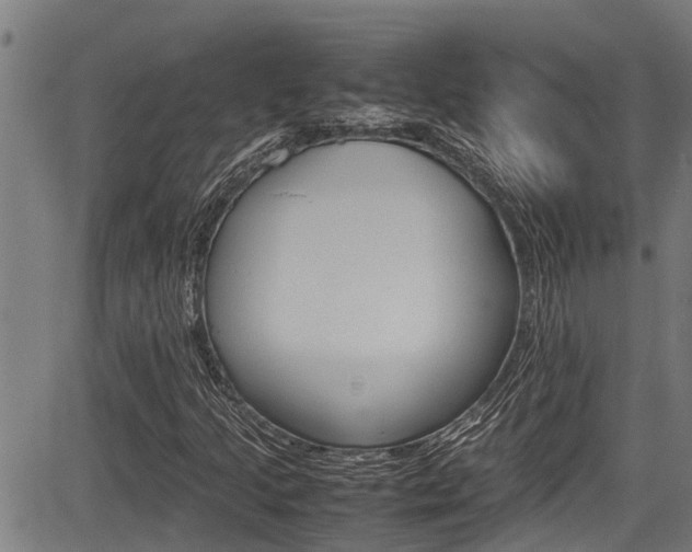 X0000083661205200702120831