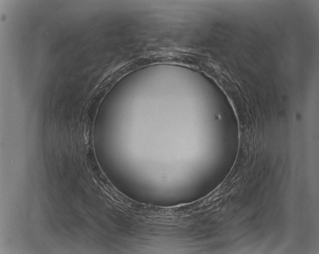 X0000083661206200702120831