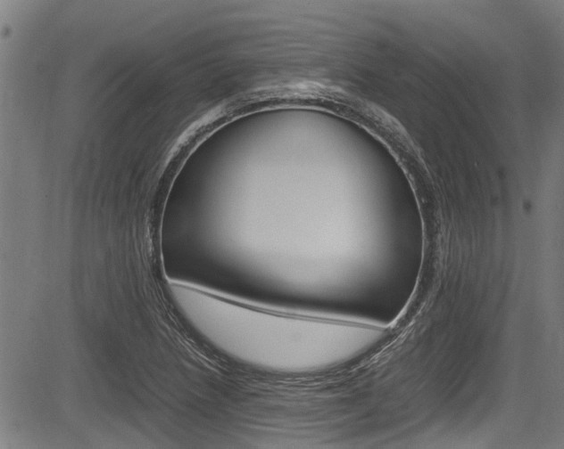 X0000083661218200702120831