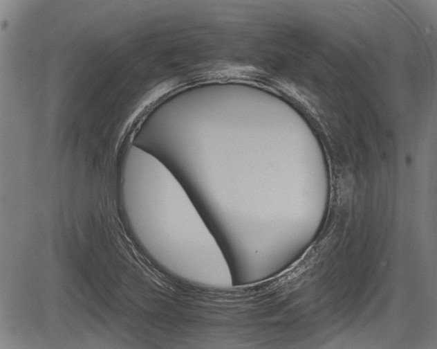 X0000083661219200702120831