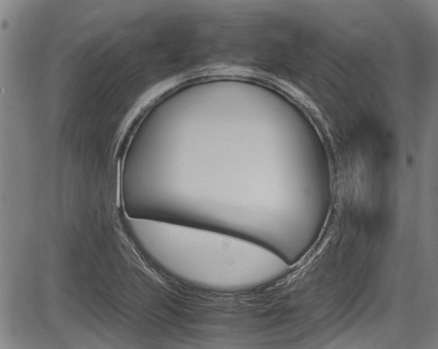 X0000083661223200702120831