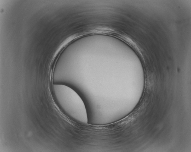 X0000083661227200702120831