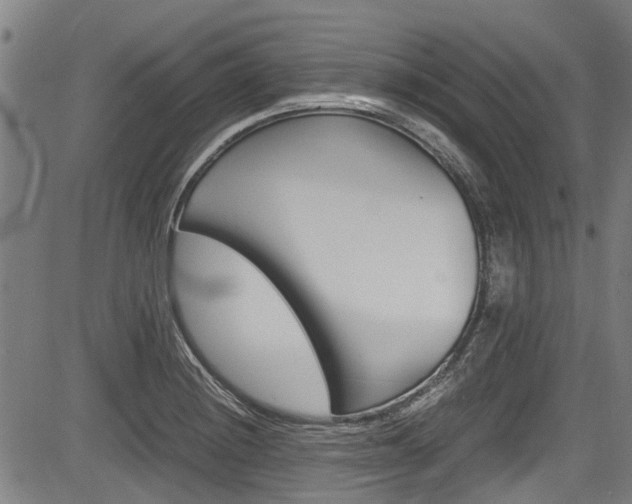 X0000083661228200702120831