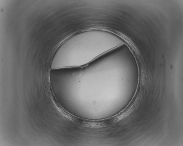 X0000083661241200702120832