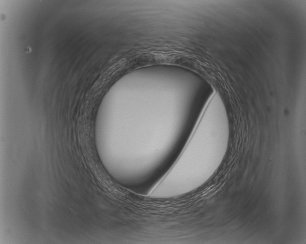 X0000083661249200702120831