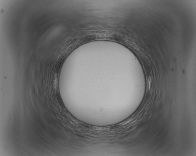 X0000083661251200702120831