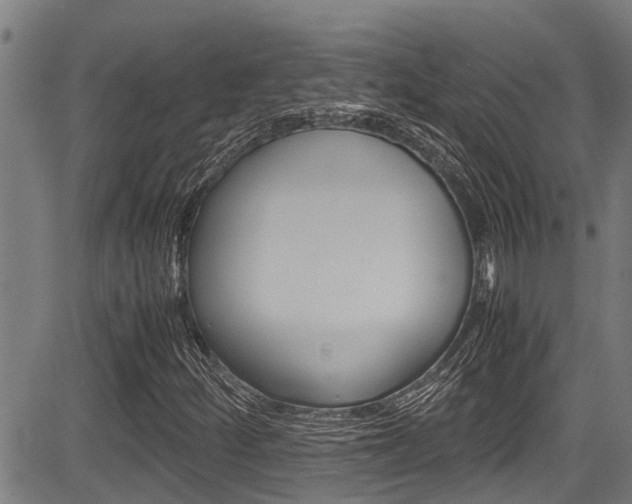 X0000083661252200702120831