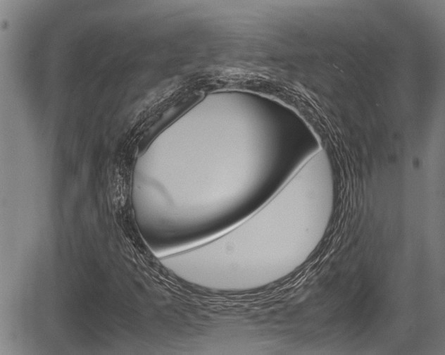 X0000083661253200702120831