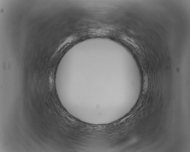 X0000083661254200702120831