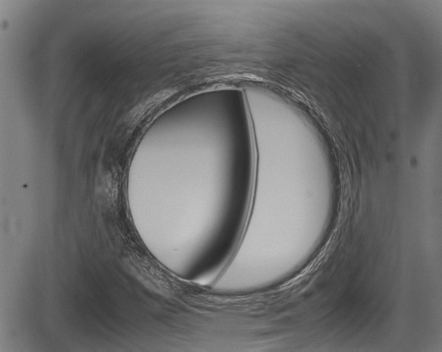 X0000083661257200702120831