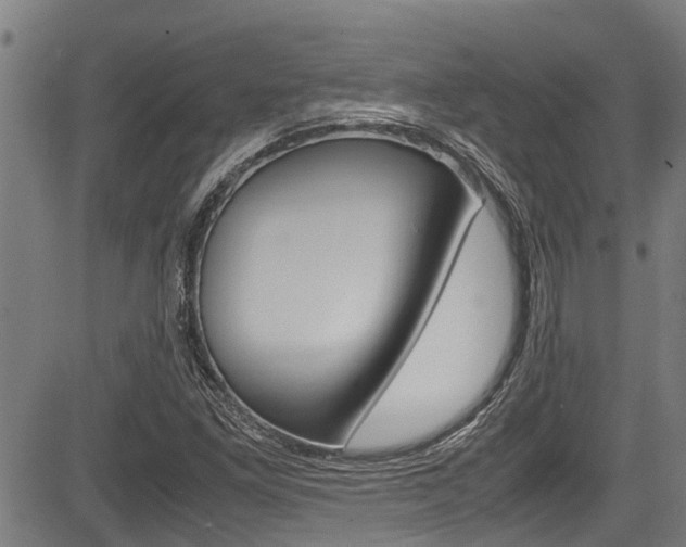 X0000083661261200702120831