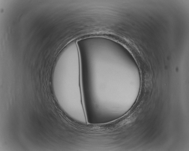 X0000083661265200702120831