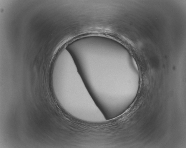 X0000083661267200702120831