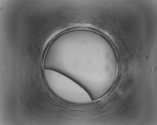 X0000083661271200702120831
