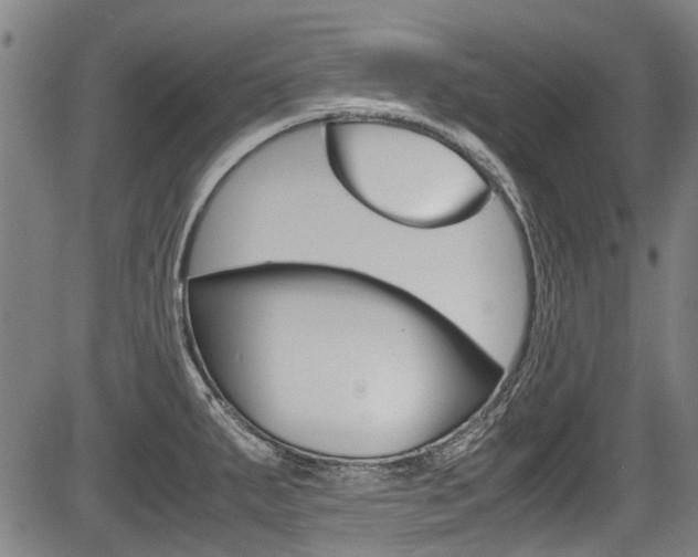 X0000083661287200702120830