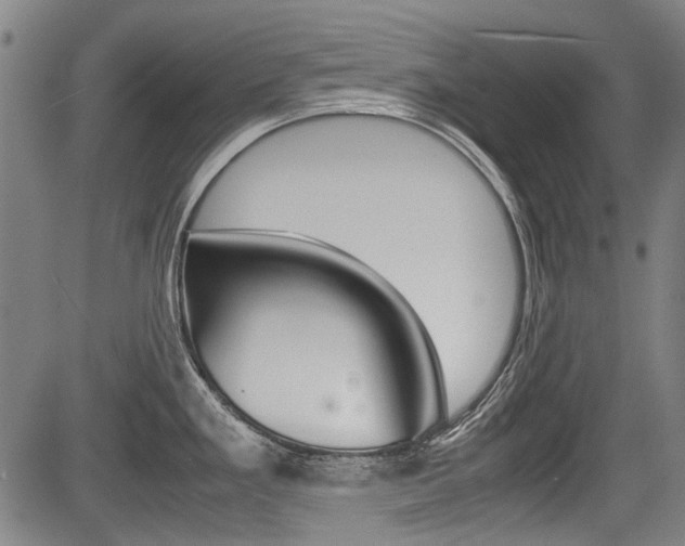 X0000083661293200702120830