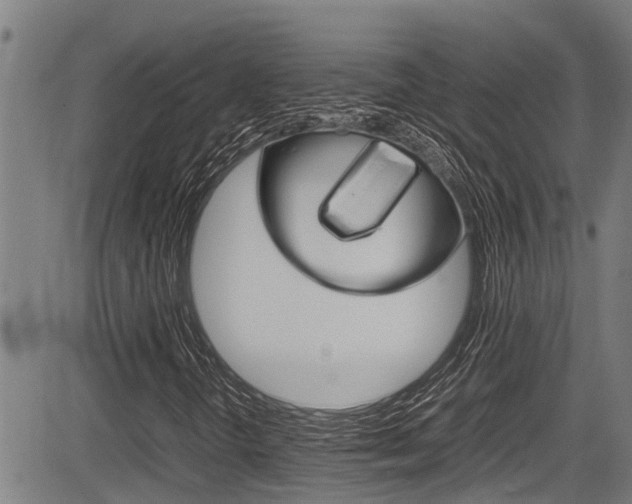 X0000083661298200702120830