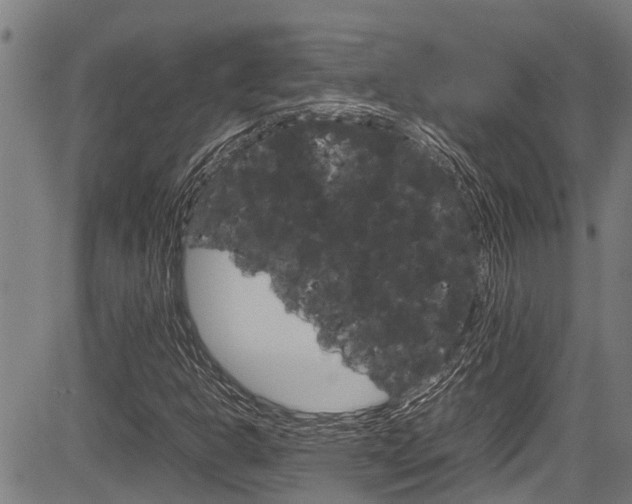 X0000083661302200702120830