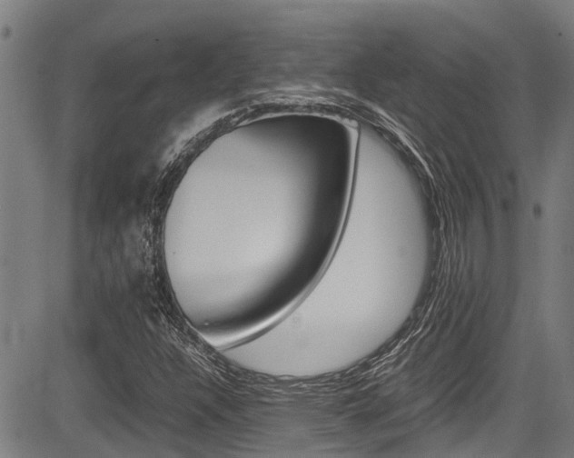 X0000083661304200702120830