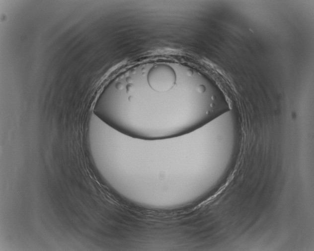 X0000083661313200702120830