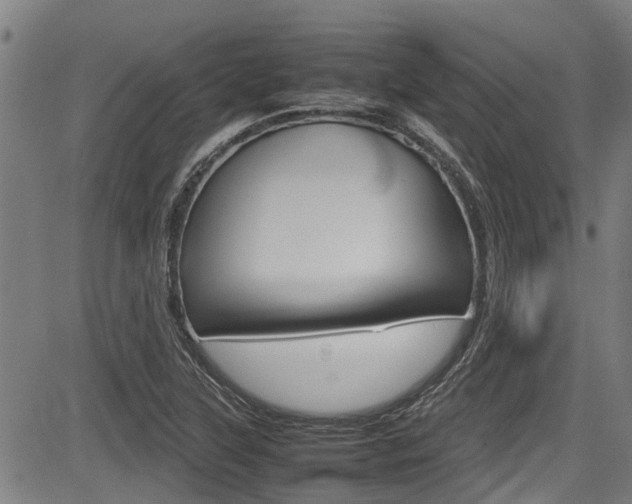 X0000083661315200702120830
