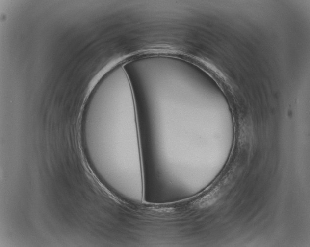 X0000083661325200702120830