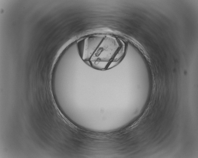 X0000083661326200702120830