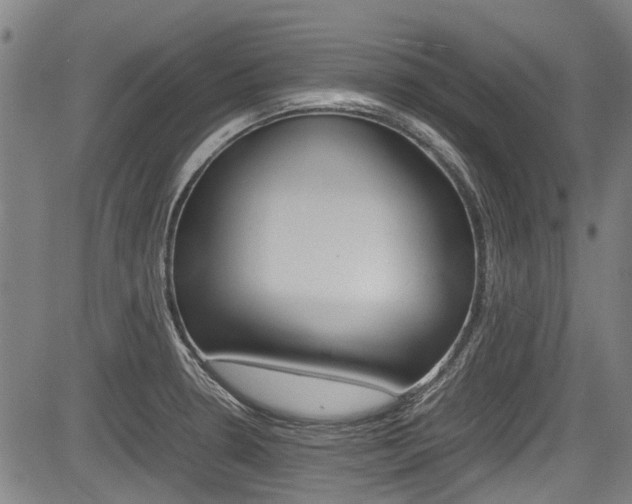 X0000083661330200702120830