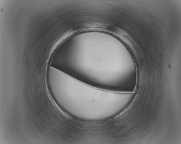 X0000083661333200702120830