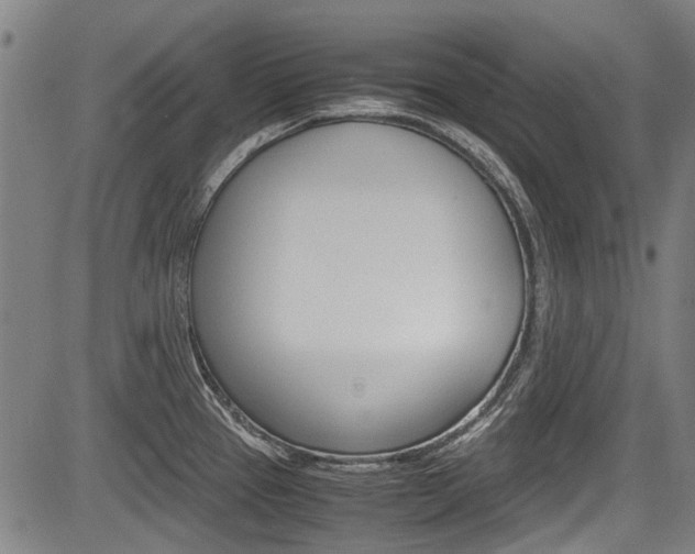 X0000083661337200702120830