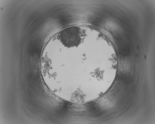 X0000083661338200702120830