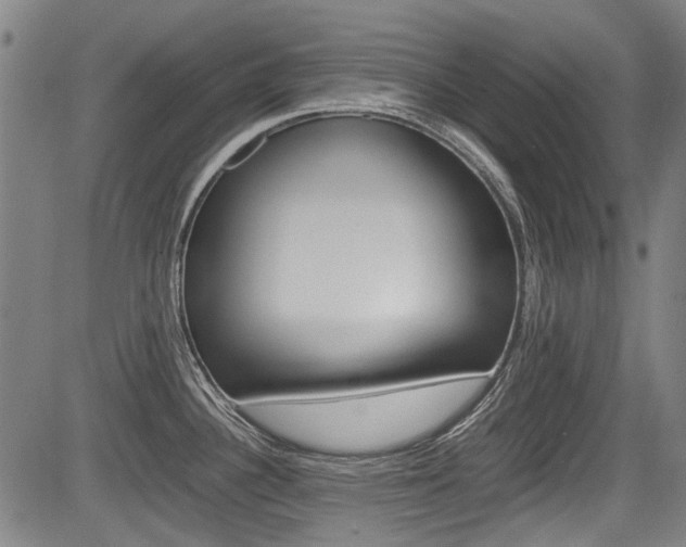 X0000083661340200702120830