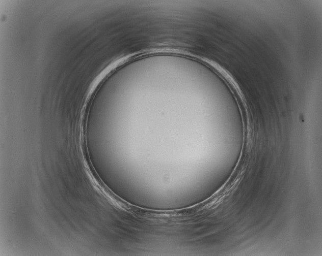 X0000083661341200702120830