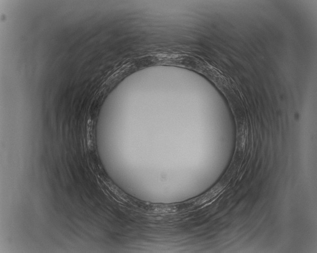 X0000083661346200702120829