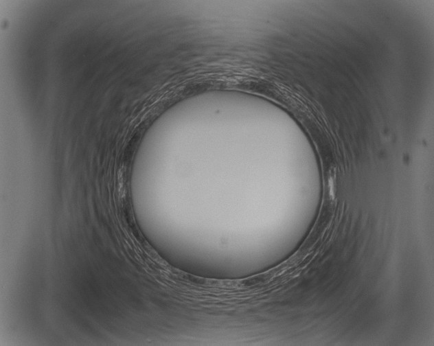 X0000083661347200702120829