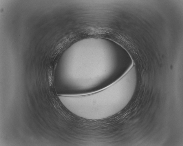 X0000083661348200702120829