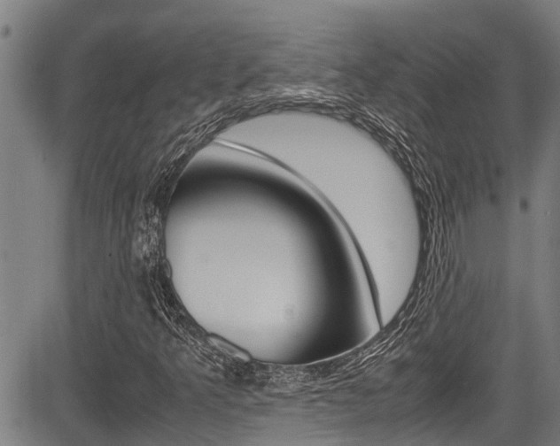 X0000083661349200702120829