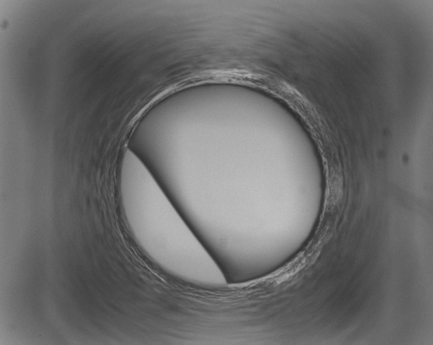 X0000083661361200702120829