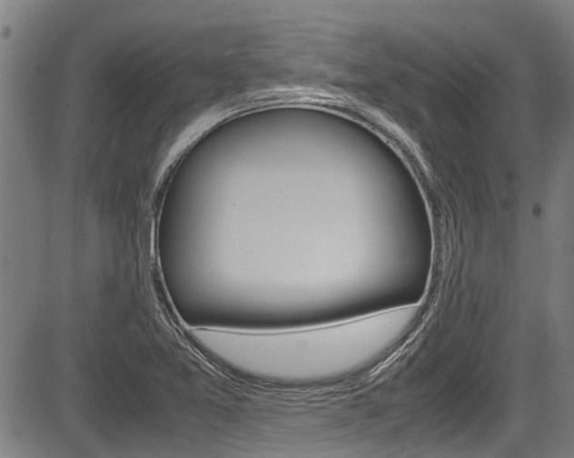 X0000083661365200702120829