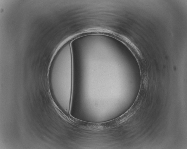 X0000083661372200702120829