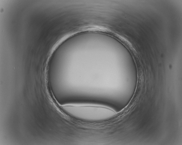 X0000083661375200702120829