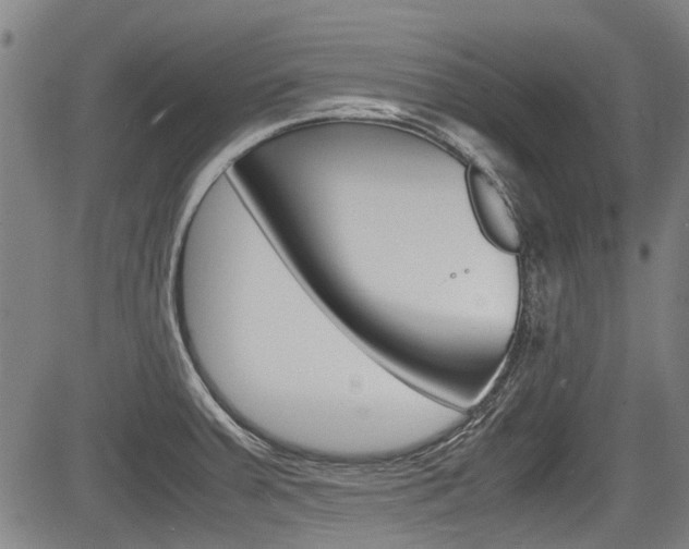 X0000083661379200702120829