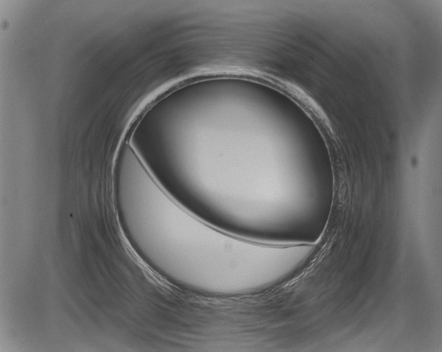 X0000083661380200702120829