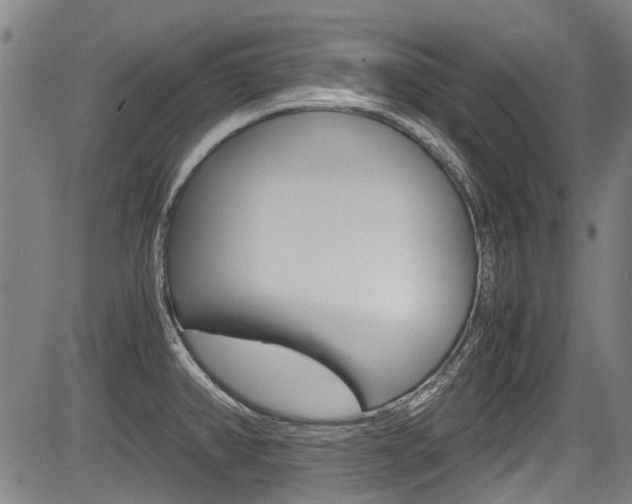X0000083661382200702120829